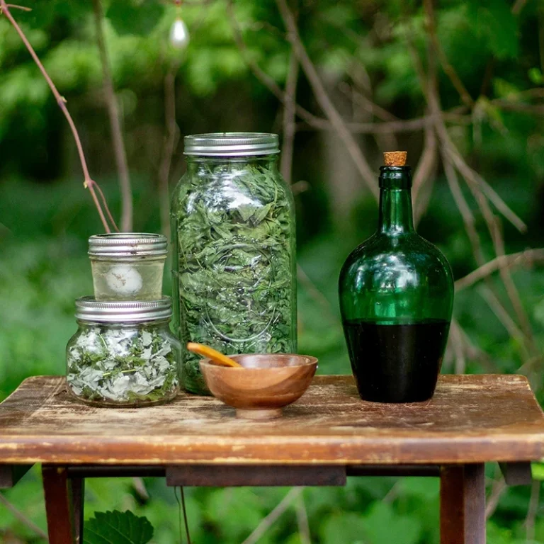 Getrocknete Kräuter und Pflanzen in Gläsern auf einem Tisch