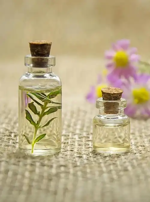 Kleine Glasflaschen mit pflanzlichen Ölen und Blüten