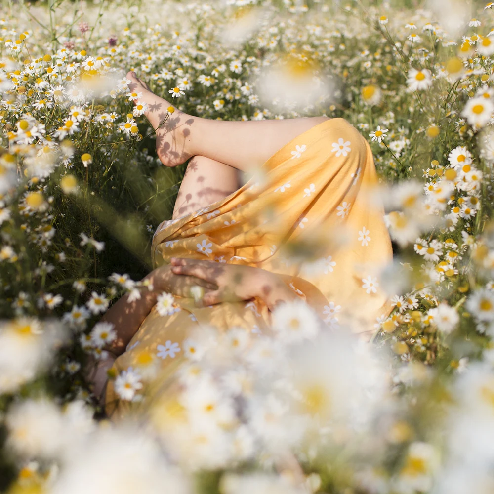 Person in einem gelben Kleid liegt entspannt in einer blühenden Kamillenwiese, umgeben von weißen Blüten im warmen Sonnenlicht